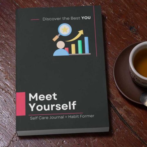 Meet Yourself - The Journal